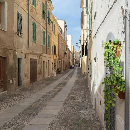Ferret * Alghero
